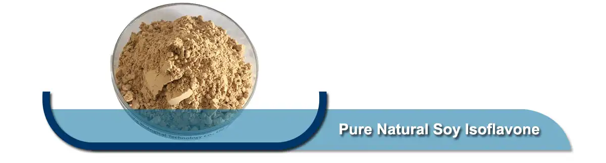 Pure Natural Soy Isoflavone.jpg
